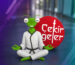 Öğrencimiz-Sofia-Maya-Bekler-Çekirgeler-Matematik-Ligi’nde-Dünya-Finalinde!